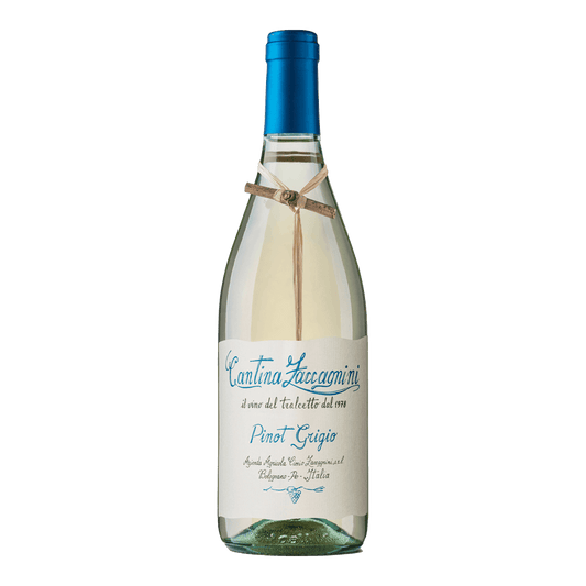 VINO ZACCAGNINI PINOT GRIGIO 75CL